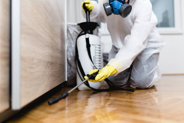 Professional Pest Control in Carpentersville, IL